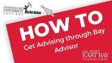 How to Get Advising Through Bay Advisor