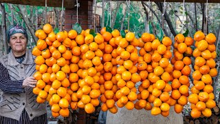 Harvesting Persimmon and Keeping Them for Winter WITHOUT any Chemicals | Outdoor cooking channel