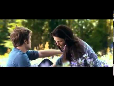 مو ذنبك حلاتك ايهاب المالكي