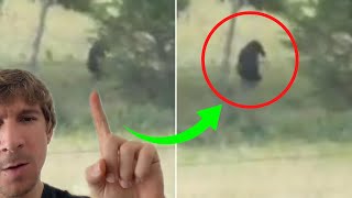 What Bigfoot-like Creature Did They Catch on Camera? 