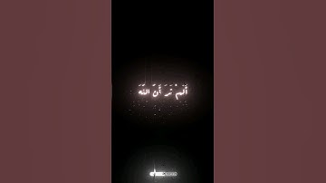 راحة نفسية غريبة فى صوت الشيخ الشحات محمد أنور 🩵| سورة فاطر | #قرآن #quran #إذاعة_القرآن_الكريم #fyp