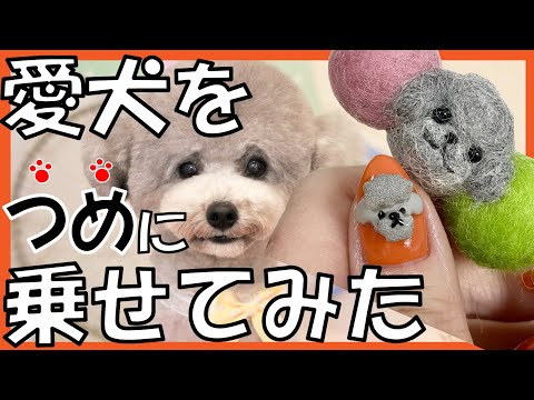 3dネイルパーツ 犬 プードル 誕生日 数字 hqdefault.jpg