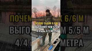 Почему на хозяйствах садки 6/6 метров? #иваносетр