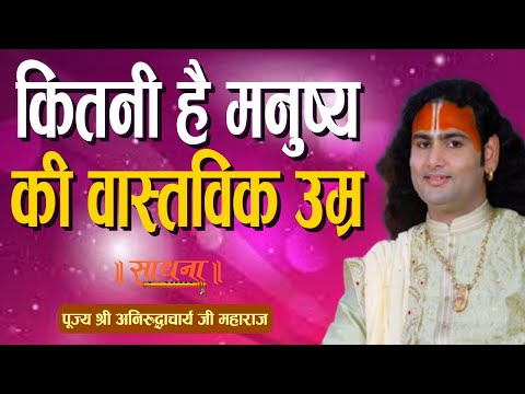 वीडियो: अजीब स्थितियों में सो रही 32 बिल्लियों