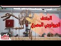 شوف حتة من القمر في المتحف الجيولوجي المصري