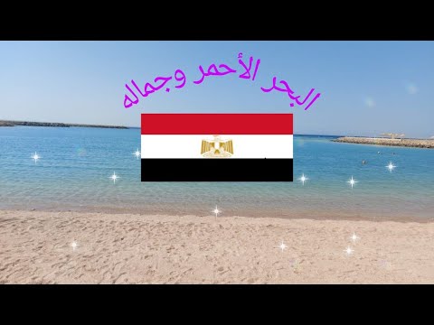ازاى تعمل دماغ بالمصرى فى سهل حشيش