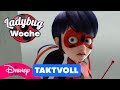 Er weiß, wer sie ist! | Miraculous 🐞🐱