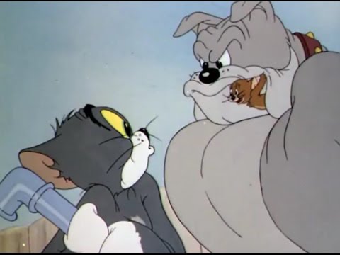 Tom And Jerry The Tom And Jerry The
