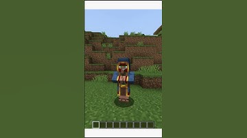 Wandering Trader is Now OP... | Hindi | #minecraft #minecraftshorts