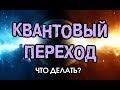 5. Квантовый Переход. Что делать?