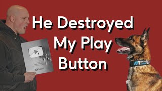 K9 Destroys my Youtube Award! by Modern Malinois 53,060 views 1 year ago 7 minutes, 8 seconds