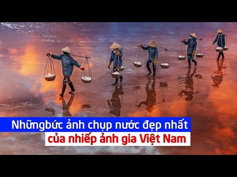 Video: Nhiếp ảnh gia chụp những bức ảnh tuyệt đẹp về động vật về đêm