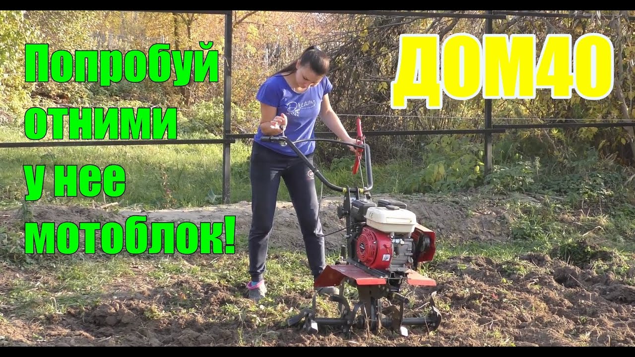 Ока мб 1д