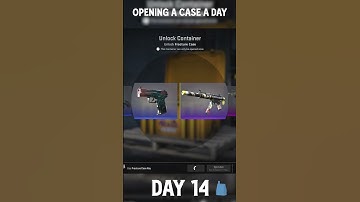 Opening A Case A Day Until I Hit Gold Day 14