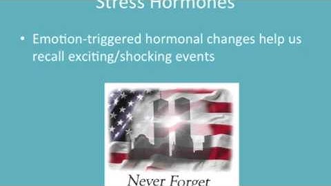 How Emotions and Memory are linked