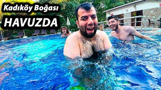 Download Lagu KADIKÖY BOĞASI HAVUZDA MP3 Download Lagu KADIKÖY BOĞASI HAVUZDA MP3