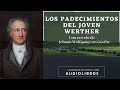 Los padecimientos del joven werther de j w goethe novela completa audiolibro con voz humana real