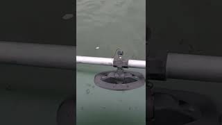 ВЫВАЖИВАНИЕ ЩУКИ #fishing #рыбалка #щука