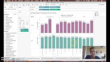 MAN3301 Tableau Project