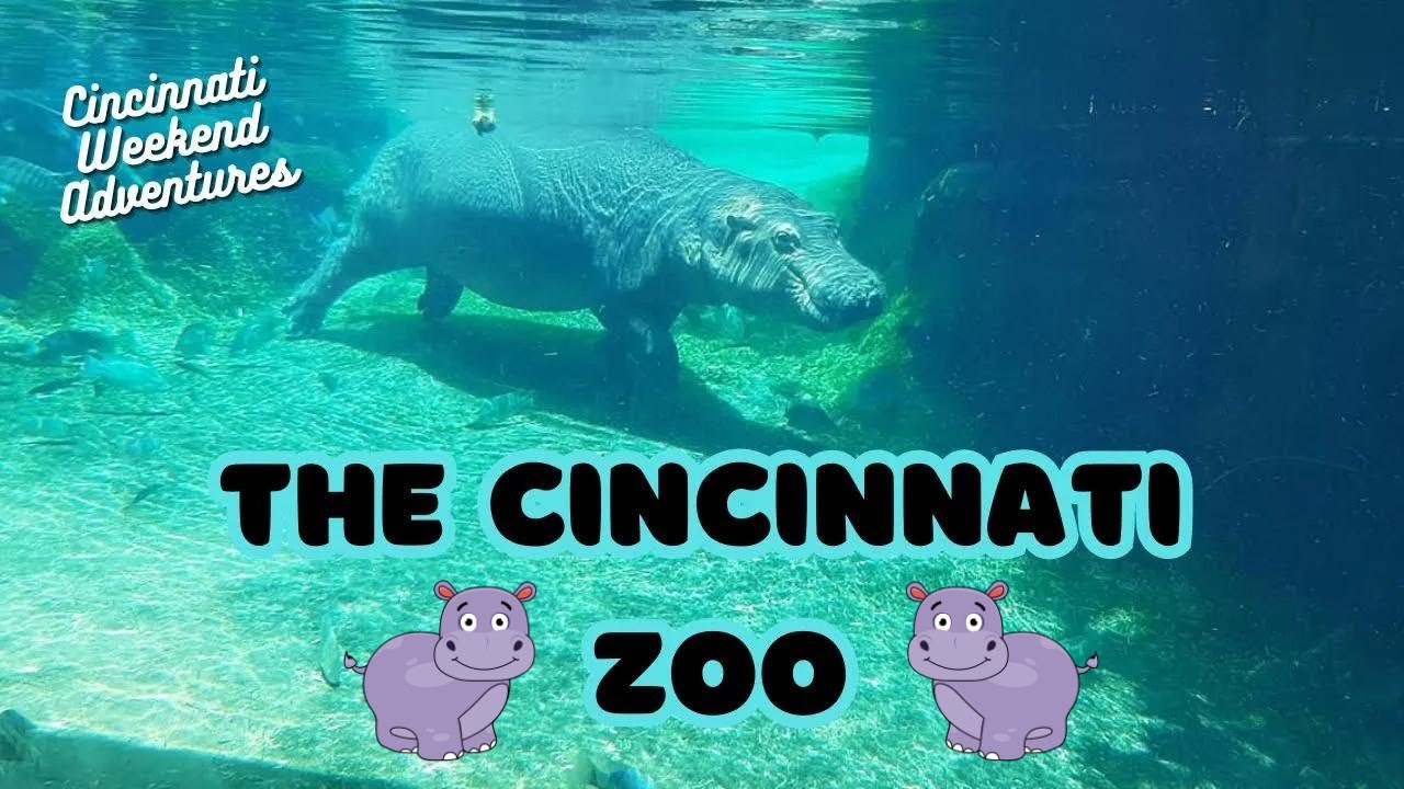 Cincinnati Zoo YouTube