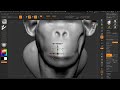ZBrush for Beginners - 11 Dynamesh