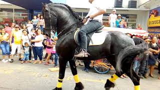 Desfile Hípico Feria Patronal Escuintla 2/2