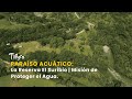 Paraíso Acuático: La Reserva El Suribio | Misión de Proteger el Agua - TvAgro por Juan Gonzalo Angel