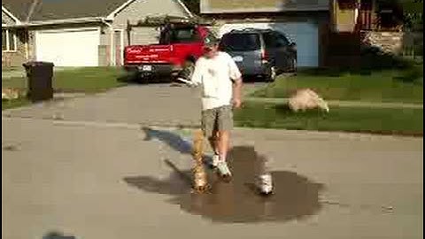 Coke & Mentos: Warm Vs. Cold: Part 2