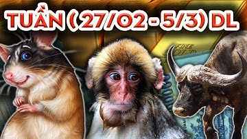 Tử Vi Tuần 27/2 - 5/3 Dương, 3 Con Giáp Thấu Tỏ Mệnh Trời, Vượt Qua Đại Nạn, Đón Thời Giàu Sang.