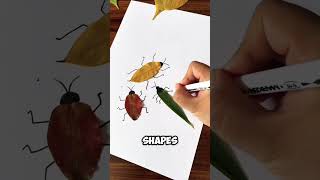 Create Beautiful insect using leaves