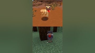 New Chickens in Minecraft! #minecraftsnapshot #gaming