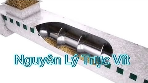 Mô phỏng nguyên lý hoạt động của băng tải trục vít - Băng Tải Việt Phát TpHCM