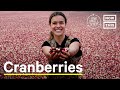 Are Cranberries Good For The Climate? | One Small Step | NowThis Earth