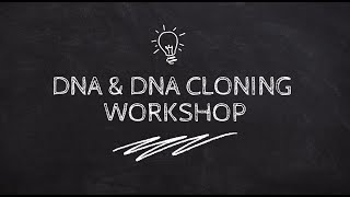 DNA & DNA CLONING WORKSHOP 2023 | พันธุวิศวกรรมและเทคนิคที่เกี่ยวข้อง