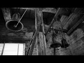 Stock Video Footage Hd Free Download