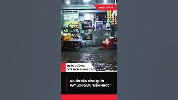 Triều cường TP.HCM vượt báo động 3, người dân Bình Quới vật lộn giữa biển nước! 💦 #shorts