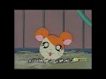 هل تعرفون من هو همتاروا هل تعرفون من هو همتاروا