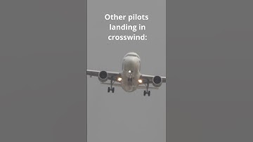 The crosswind is afraid of him😎 #aviation #landing #crosswind #gigachad
