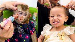 Monyet Kaka dan Diem dengan patuh duduk diam sambil memotong rambut