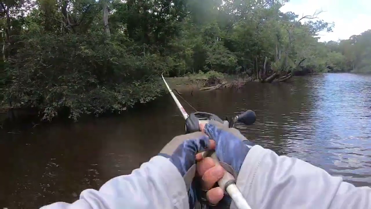Bass fishing tournament on the Apalachicola River on July 08, 2023