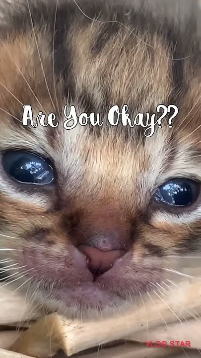 are-you-okay-baby-tamil-movie-review-are-you-okay-baby-movie-review