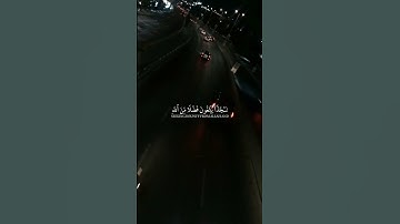 🥀محمد رسول الله والذين معه اشداء على الكفاررحماء بينهم 🥀 سورة الفتح🥀 القارئ 🥀ياسر الدوسري