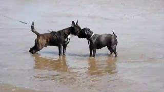 Staff Mia Ligas V Mori 2