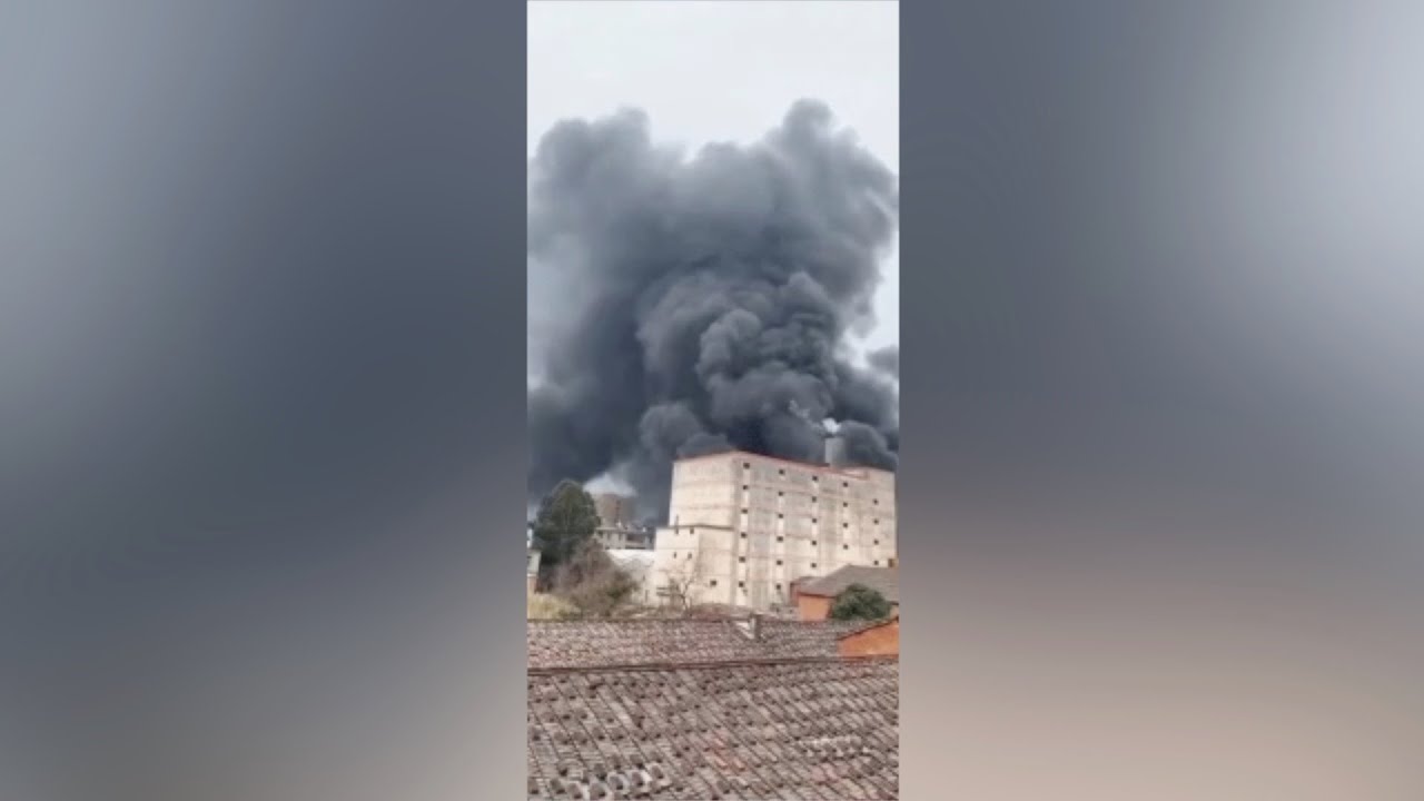 Fire breaks out at dyeing factory in E China