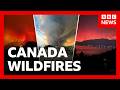 New video by BBC News on YouTube