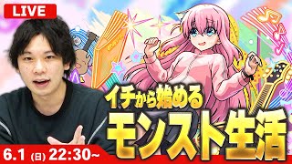 【🔴モンストLIVE配信】久しぶりのイチから始めるモンスト生活｜ぼざろコラボ楽しみながら色々やる！【しろ】