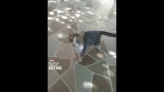 Aklimda Edit Fikri Yok Suanlik Şablon Kullaniyom Resimi