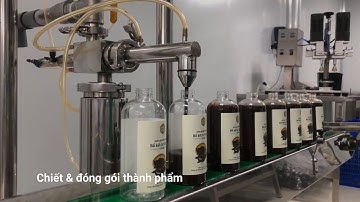 Nước gội Bồ Kết và Vỏ Bưởi cô đặc Mộc Nhu