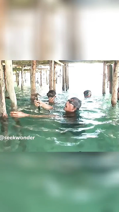 The bajau people who leave on water