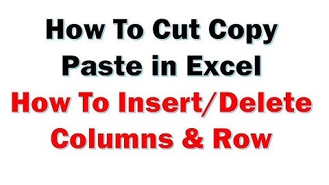 Excel 2013 Tutorial- How To Copy Cut Paste (Insert and delete  column, row)